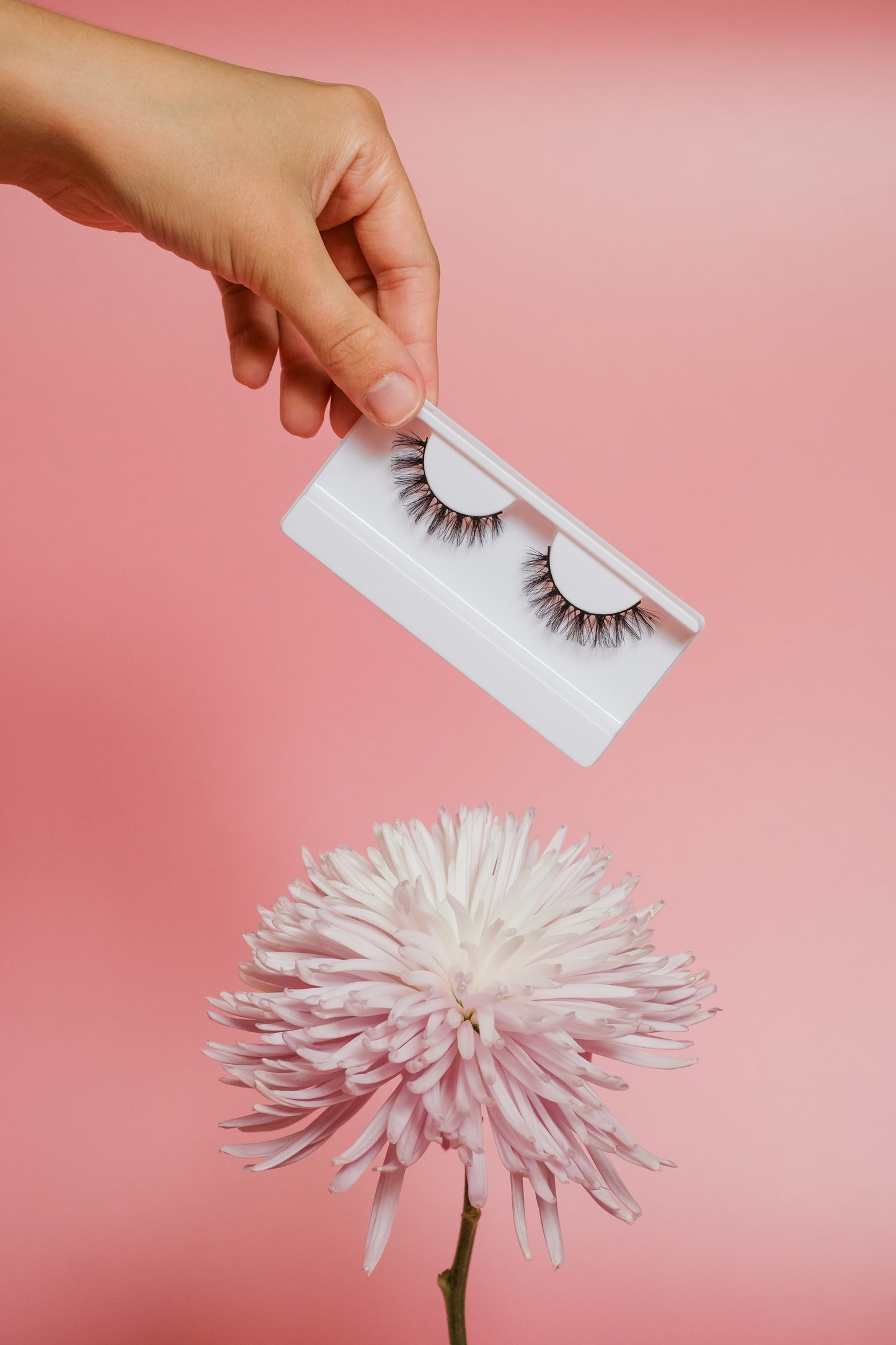 Bloom – Radiant Volume Lashes (M)